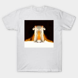 Mythology redhead greek vestal T-Shirt